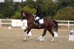 SBM_022096