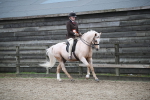 SBM_007330