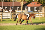 SBM_54394