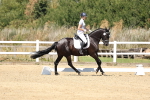 SBM_001562