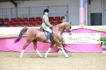SBM_03093