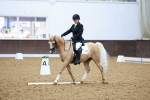 SBM_004294