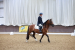 SBM_000085