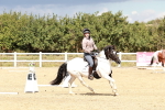 SBM_011499