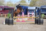 BPP_1668