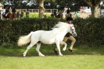SBM_68563