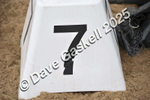 D8F_3693