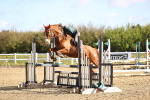 SBM_003041