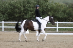 SBM_001405