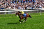 220826-Race 2-Infraad-0310