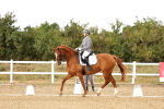 SBM_007399