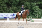 233-SILVESTERS_FINESSE-Rosalind_Canter portfolio