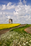 Chesterton Windmill 02