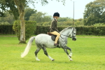 SBM_69821