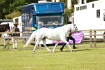 SBM_01644