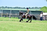 SBM_15321