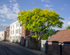 Graham Wiffen - Captains Row - DSC_7153