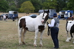 WJ6_5796