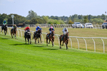 260826-Race 2-Lady Gormire-2333