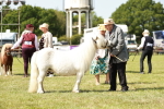 SBM_01981