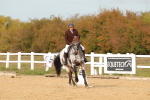 SBM_010430