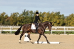 SBM_003347