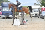 BPP_0508