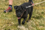 Hartside-4