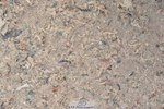 231013A-140816-02504