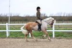 SBM_007041