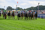 210826-Race 4-Bacio-6180
