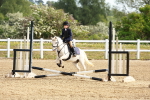 SBM_006562