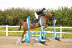 SBM_001880