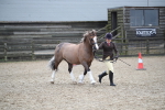 SBM_006167