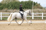 SBM_003732