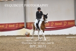 BPP_9072