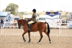 SBM_06145