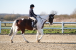 SBM_004394