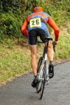 CurbarHC-2008-225