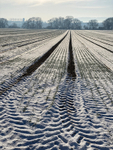 SnowField