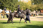SBM_35725