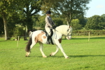 SBM_59844