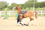 SBM_001164