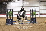 21ST FEB 2026 - NST Maranzo Stud Winter Unaffiliated Show Jumping - MUIRMILL EC portfolio