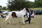 WJ6_5578