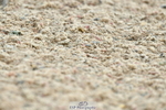 230708A-110813-02501