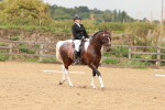 SBM_001916