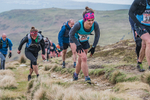 Black Combe-246