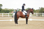 SBM_004276