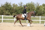 SBM_017387